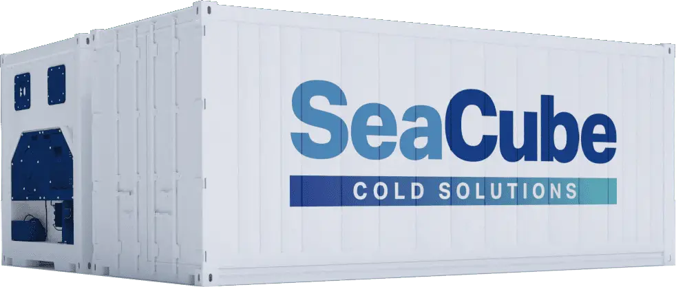 CONTAINER 20FT